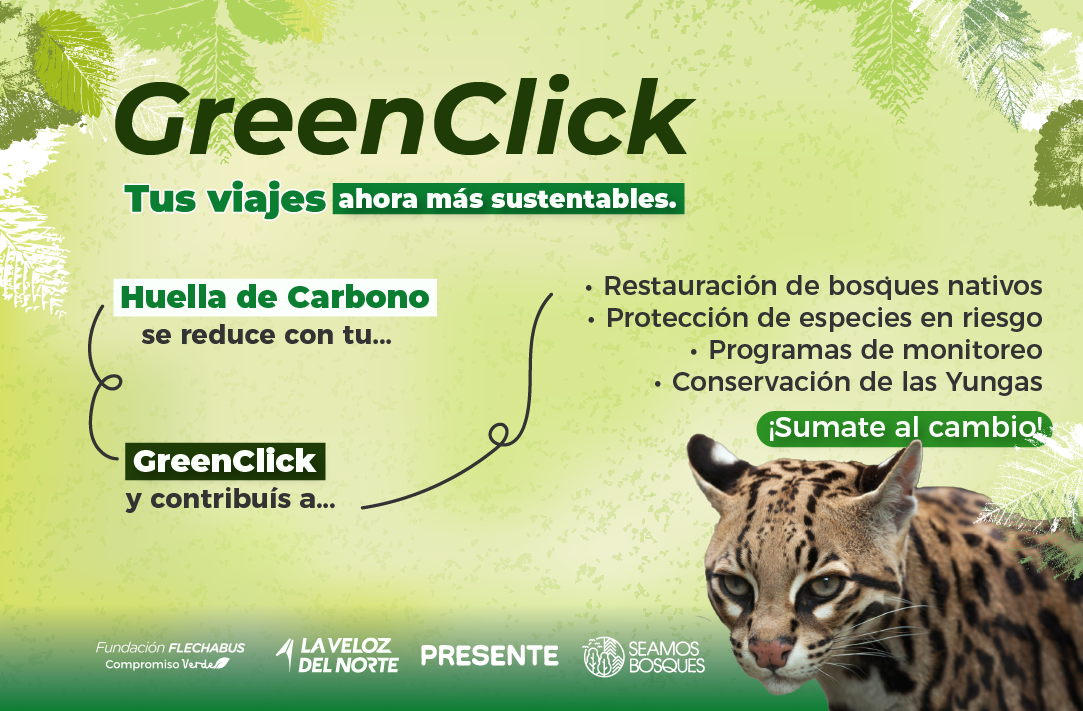 Descripción imagen móvil